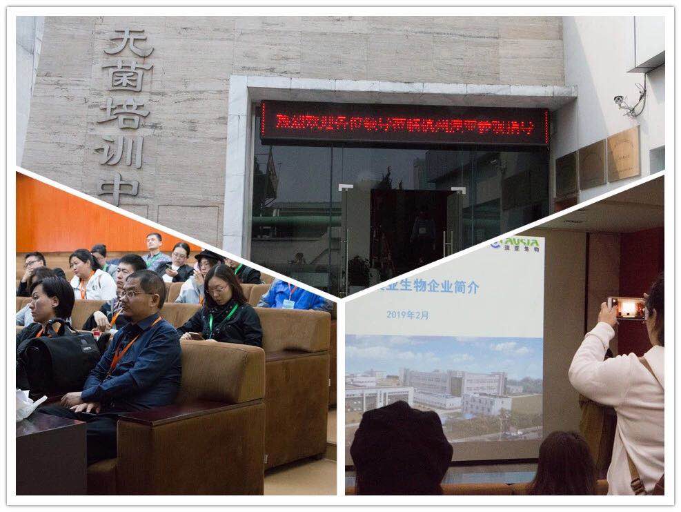 1561115263118511.jpg 1561115263118511.jpg