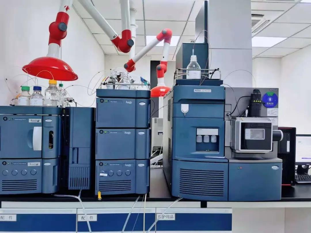 1607323775914917.jpg 2.jpg